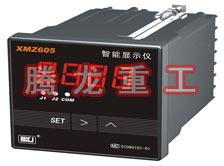 溫度表、數(shù)字顯示儀、濕度表