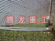 大棚花卉供暖設(shè)備、大棚卉采暖設(shè)備、大棚花卉取暖設(shè)備