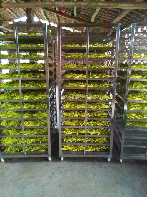 黃花菜烘干機、黃花菜烘干設備、黃花菜干燥機、黃花菜干燥設備、